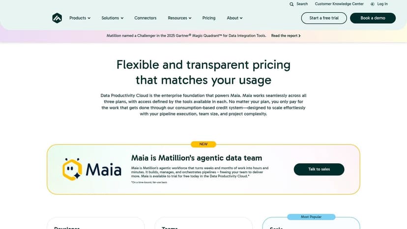 Matillion (Data Productivity Cloud)