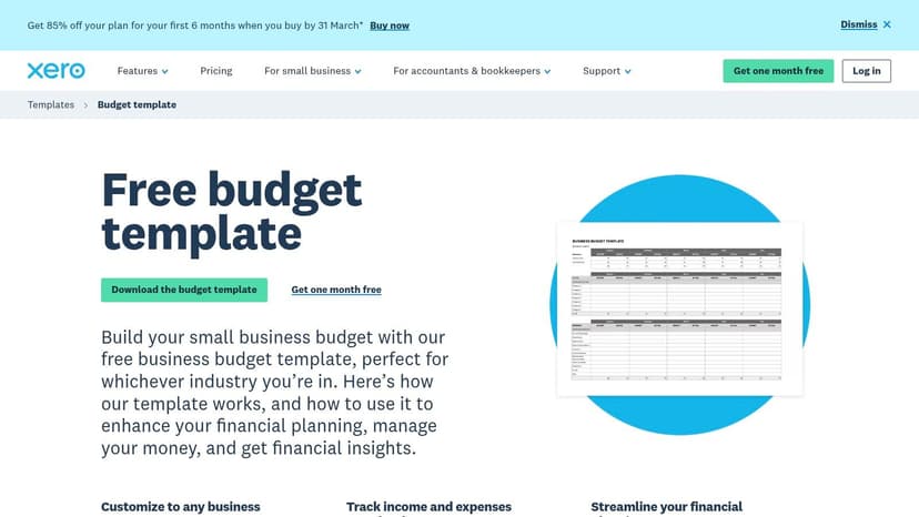 Xero – Free business budget template