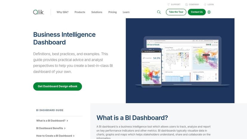 Qlik Business Intelligence Dashboard Examples